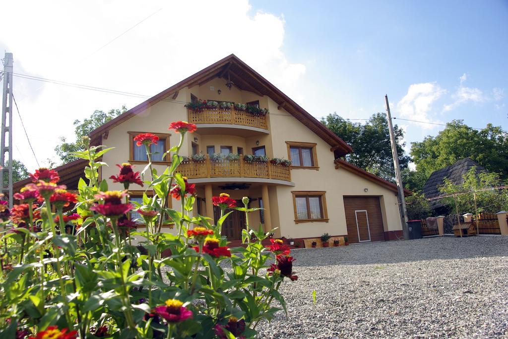 Pensiunea Marioara Hotel Breb Exterior foto